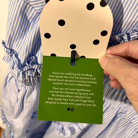 Kate Spade Dress Blue Stripe Ruffle Button Front Midi Fit Flare Coastal XXL - Picture 7 of 10